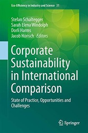 Front cover of Corporate Sustainability in International Comparison by Stefan Schaltegger
