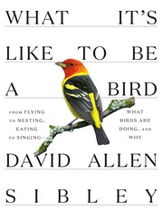 Front cover of What It's Like to Be a Bird by David Sibley