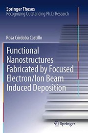 Front cover of Functional Nanostructures Fabricated by Focused Electron/Ion Beam Induced Deposition by Rosa Córdoba Córdoba Castillo