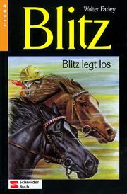 Cover of The Black Stallion's Courage by Walter Farley