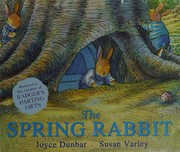 Front cover of The spring rabbit by Joyce Dunbar