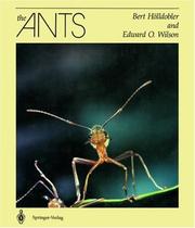 Front cover of The ants by Bert Hölldobler