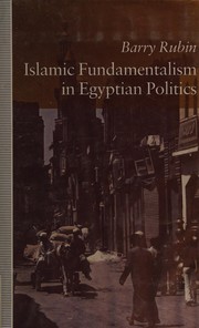 Front cover of Islamic fundamentalism in Egyptian politics by Barry Rubin