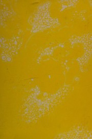 Front cover of Towards a theoretical biology by Conrad H. Waddington