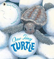 Cover of One Tiny Turtle by Nicola Davies; Jane Chapman