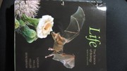 Front cover of Life The Science of Biology by Sadava