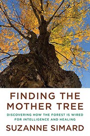 Cover of Finding the Mother Tree by Suzanne Simard