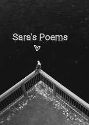 Front cover of Delirious Journey Collected Poems of Sara Taylor by Sara Taylor