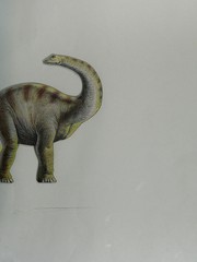Cover of Diplodocus by Andrea Lorini