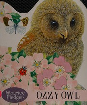 Cover of Ozzy Owl (Touch & Feel Board Books) by A.J. Wood