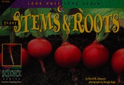 Front cover of Plant Stems & Roots by David M. Schwartz