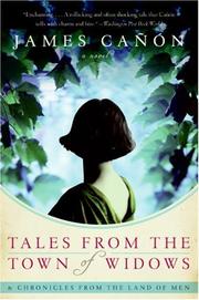 Front cover of Tales from the Town of Widows by James Canon
