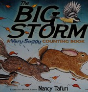 Cover of The big storm by Nancy Tafuri