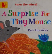 Cover of A surprise for Tiny Mouse by Petr Horáček