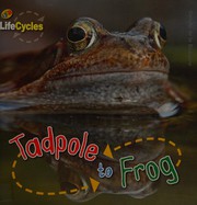 Front cover of Tadpole to frog by Camilla De la Bédoyère