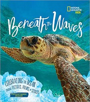 Cover of Beneath the Waves by Stephanie Warren Drimmer