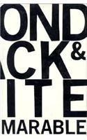 Cover of Beyond Black and White by Manning Marable