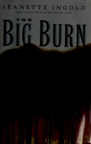 Cover of The Big Burn by Jeanette Ingold