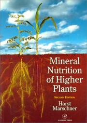 Front cover of Mineral Nutrition of Higher Plants, Second Edition (Special Publications of the Society for General Microbiology) by Horst Marschner