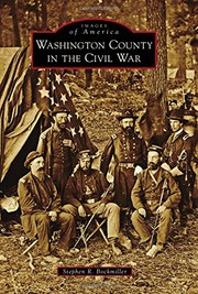 Front cover of Washington County in the Civil War by Stephen R. Bockmiller