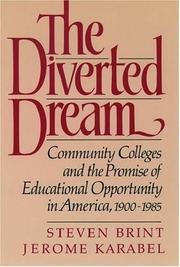 Cover of Diverted Dream by Steven G. Brint