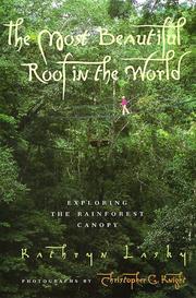 Front cover of The Most Beautiful Roof in the World by Kathryn Lasky