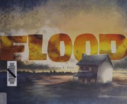 Front cover of Flood by Alvaro F. Villa