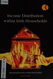 Front cover of Income distribution within Irish households by David B. Rottman
