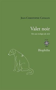 Front cover of Valet noir by CAVALLIN JEAN-CHRISTOPHE