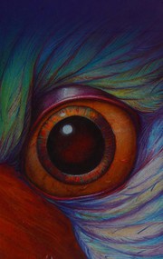 Front cover of Félix y el mundo al revés by Elizabeth Kay