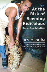 Front cover of At the Risk of Seeming Ridiculous by B V Olguin