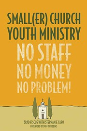 Front cover of Smaller Church Youth Ministry by Stephanie Caro