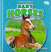 Front cover of Baby Horses by Margaret Shanley