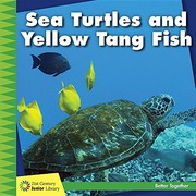 Front cover of Sea Turtles and Yellow Tang Fish by Kevin Cunningham