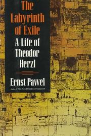 Front cover of The Labyrinth of Exile by Ernst Pawel