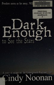 Front cover of Dark Enough to See the Stars by Cindy Noonan
