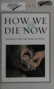 Cover of How We Die Now by Karla Erickson
