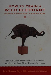 Cover of How to train a wild elephant by Jan Chozen Bays