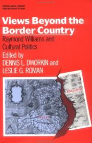 Cover of Views Beyond the Border Country by Dennis Dworkin