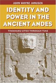 Front cover of Identity and Power in the Ancient Andes by John Wayne Janusek