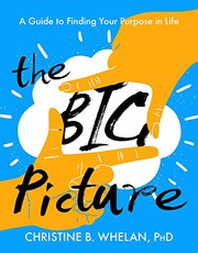 Front cover of The Big Picture by Christine B. Whelan