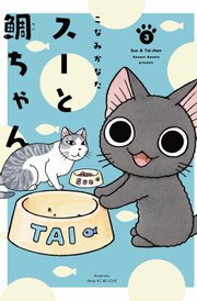 Front cover of Sue and Tai-Chan 3 by こなみかなた [Konami Kanata]