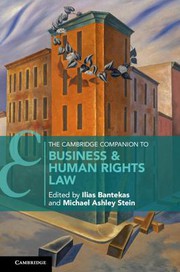 Cover of Cambridge Companion to Business and Human Rights Law by Ilias Bantekas