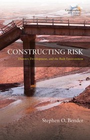 Cover of Constructing Risk by Stephen O. Bender