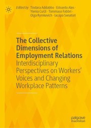 Front cover of Collective Dimensions of Employment Relations by Tindara Addabbo