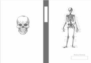 Front cover of 7 X 10 in Skeleton Skull 100-Page Notebook by Strawberry Finch