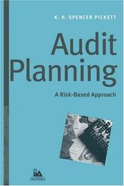 Cover of Audit planning by K. H. Spencer Pickett