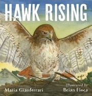 Cover of Hawk rising by Maria Gianferrari
