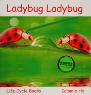 Cover of Ladybug Ladybug by Cammie Ho