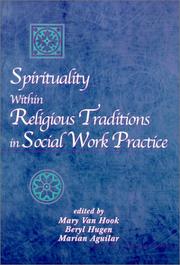 Front cover of Spirituality within religious traditions in social work practice by Mary Van Hook